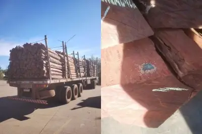 Polícia boliviana contesta existência de cocaína em madeira apreendida