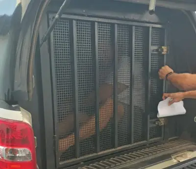 Preso suspeito de estelionato que aplicava golpes em São Luís e interior do MA