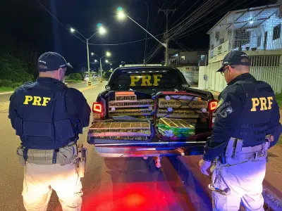 PRF apreende 317 aves silvestres em ônibus interestadual em Santarém