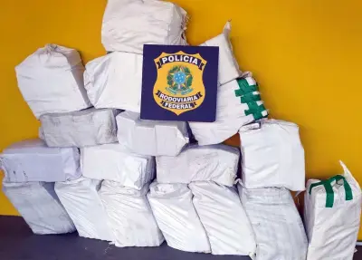 PRF apreende 487 kg de cocaína na BR-101 em Joinville, maior apreensão do ano em SC
