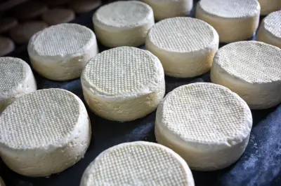 Queijo minas: benefícios, receitas e dicas de harmonização