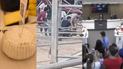 Queijos premiados, acidente em parque e reforma da previdência em MG