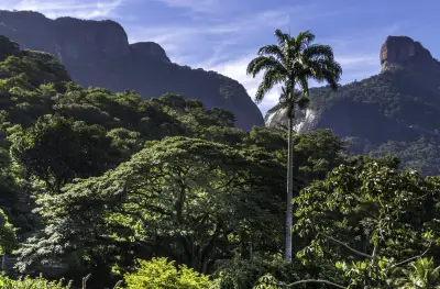 Rio e Niterói: 'Um Dia no Parque' gratuito neste fim de semana