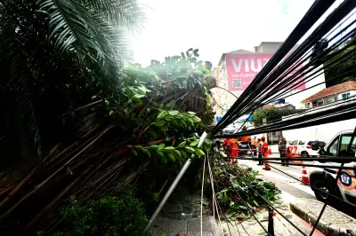 Rio tem mais de 90 quedas de árvores após vendaval; veja pontos críticos