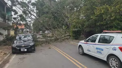 Árvore cai sobre carro e casa e interdita avenida em Resende