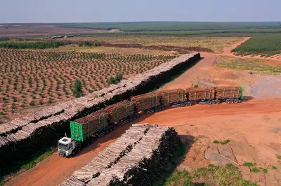 Senatran autoriza 41 hexatrens de 250 toneladas em rodovias do MS