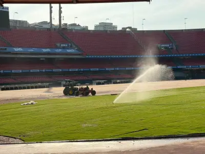 São Paulo inicia instalação de novo gramado do Morumbis após shows