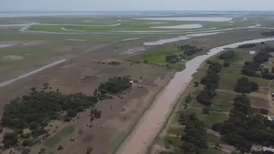 Super El Niño ameaça ribeirinhos no oeste do Pará com seca severa
