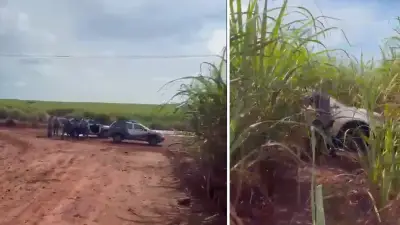 Suspeito de furtos a supermercados é preso após perseguição em canavial em Jaú