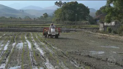 Tarifaço de Trump atinge 36,5% do agro brasileiro; governo negocia