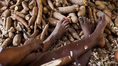 Trabalho infantil: crueldade mascarada de benevolência