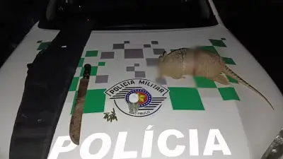 Três homens multados em R$ 3 mil por matar tatu em área de proteção