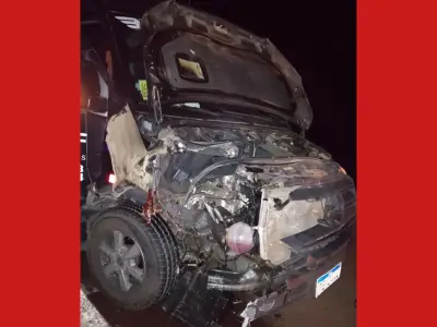 Van de quadrilha junina do AC bate em anta na BR-070 e animal morre