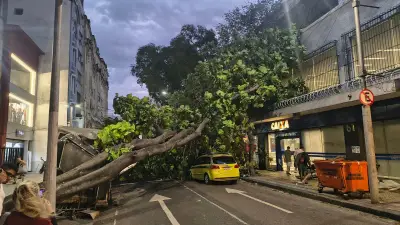 Ventania de 100 km/h assusta turistas e causa mortes no Rio