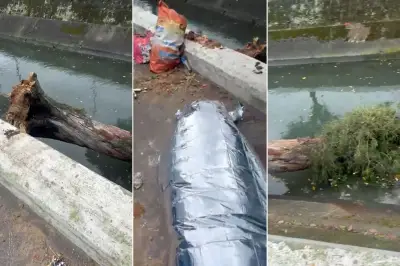 Ventos de 100 km/h matam morador de rua em Santos