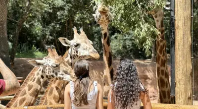 Zooparque Itatiba tem férias de julho com atividades interativas e educativas