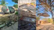 16 aves silvestres resgatadas de gaiolas em casa no Piauí