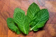 4 receitas com hortelã para preparar no feriadão