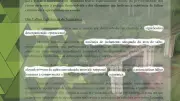 Acidente com criança não evitou morte em rope jump em Limeira