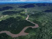 Acre segue entre piores em democracia ambiental na Amazônia Legal, aponta IDA