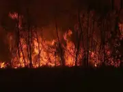 Acre tem 4ª maior queda em área queimada: 62% abaixo da média histórica