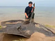 Adolescente de 14 anos quebra recorde britânico ao pescar arraia de 88,5 kg