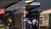 Adolescente hospitalizada após 'surfar' em trem do metrô de NY