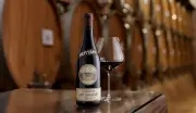 Amarone Bertani 2015 recebe 100 pontos e é eleito melhor vinho de 2024