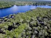 Ambientalistas pressionam Lula a vetar projeto que reduz Floresta do Jamanxim