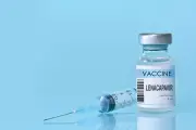 Anvisa aprova lenacapavir injetável para prevenção do HIV