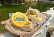 Anvisa suspende queijo artesanal; veja marca e lote