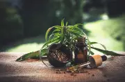 Arte no Dique promove roda de conversa sobre cannabis medicinal