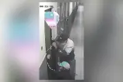 Bandidos furtam 20 kg de cabelo humano avaliados em R$ 70 mil no Rio
