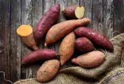 Batata doce roxa: a mais nutritiva, veja receitas