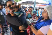 Belém Animal Itinerante oferece atendimento gratuito para pets em Mosqueiro até 30/07