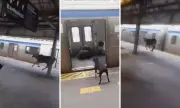Bezerro invade estação de trem em Japeri e assusta passageiros
