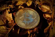 Binance: Bitcoin fica mais sensível ao macro após queda de 32% no semestre