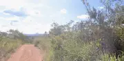 Bombeiro de folga encontra homem desorientado e desidratado em mata