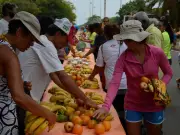 Brasil segue fora do Mapa da Fome pela 2ª vez, aponta FAO em 2026