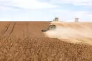 Brasil tem reservas de terras raras equivalentes a 186% do PIB, diz BID