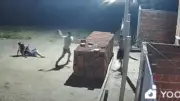 Briga entre irmãos termina com um morto a tijoladas em Ipueiras