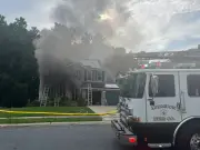 Cachorro provoca incêndio que mata outro cão e dois gatos nos EUA