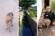 Cachorro é resgatado por PM após horas submerso em canal no Guarujá