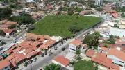 Cajueiro de Pirangi: o maior do mundo com 9 mil m² e 80 mil frutos