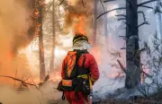 Calor extremo agrava incêndios na Europa; Espanha decreta emergência