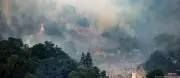 Calor extremo na Europa: incêndios devastam 17 mil hectares e matam 4,7 mil