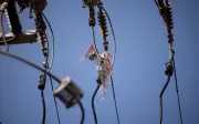 Campinas registra 277 quedas de energia por pipas em 2026; alta de 11%