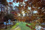 Campos do Jordão: 7 atrações gratuitas ou baratas para visitar