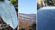 Campos do Jordão amanhece coberta por geada com mínima de 3,9°C no feriado