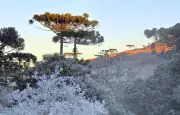 Campos do Jordão registra 1,3°C e bate recorde de frio em 2026